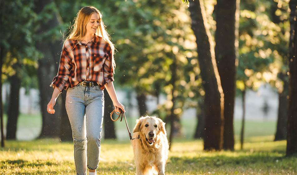 A woman walks through sunlit woods with her golden retriever dog, smiling. 