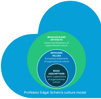 Professor Edgar Schiens Culture Model-min (1)-1